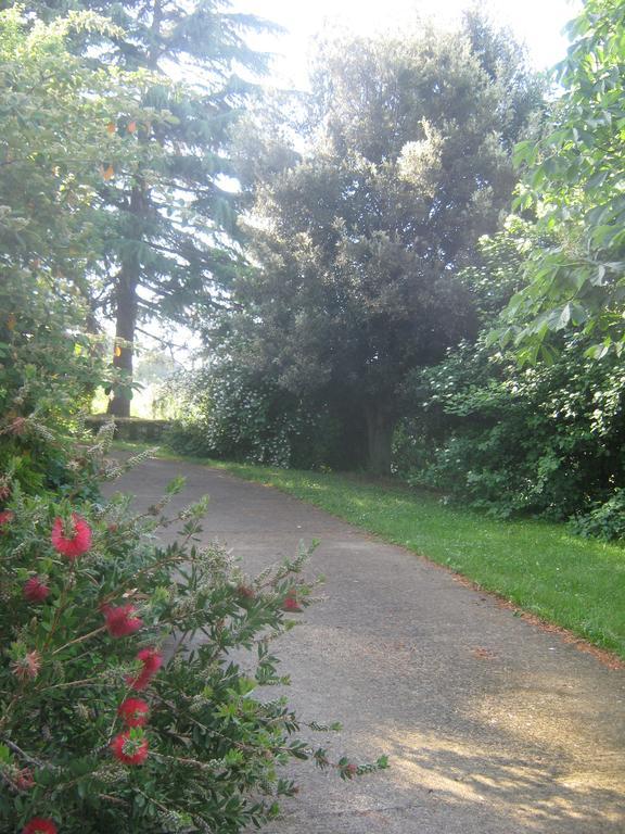 La Villa Di Lucia Viterbo Dış mekan fotoğraf
