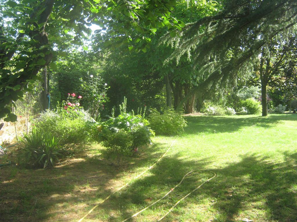 La Villa Di Lucia Viterbo Oda fotoğraf