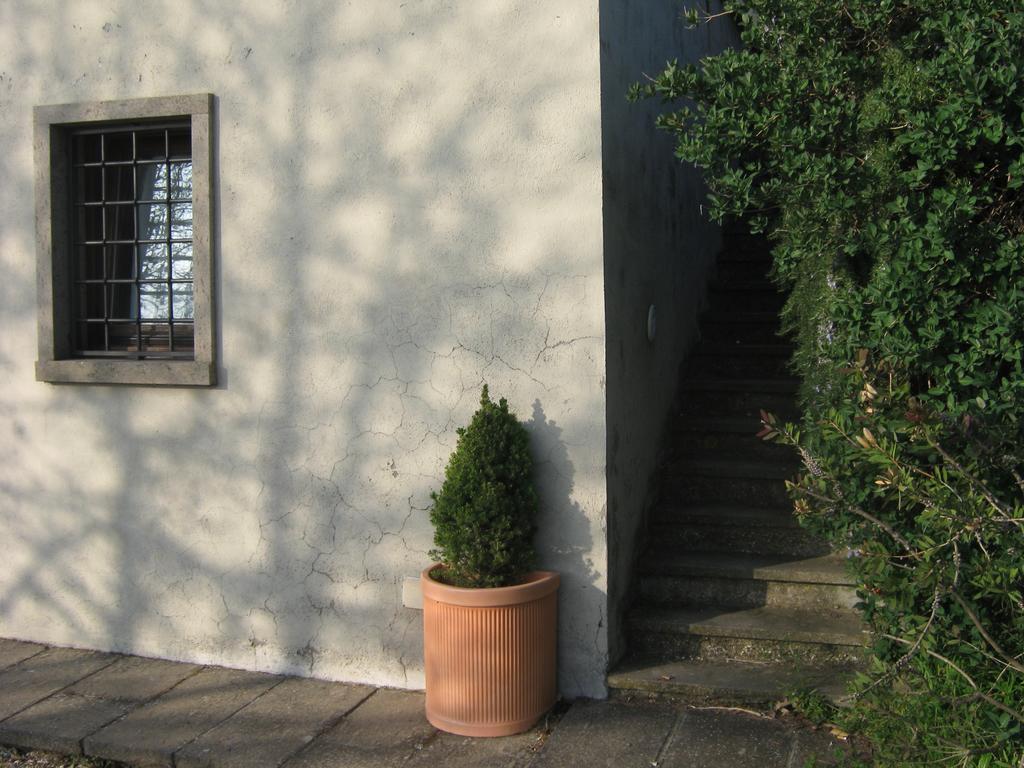 La Villa Di Lucia Viterbo Dış mekan fotoğraf